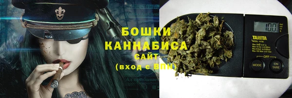 шишки Балахна