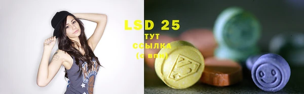 шишки Балахна