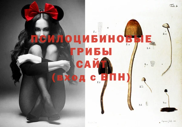 шишки Балахна