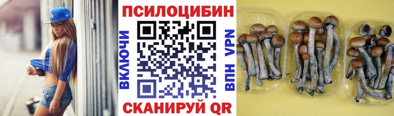 Псилоцибиновые грибы MAGIC MUSHROOMS  KRAKEN ссылки  Заозёрный  что такое наркотик 